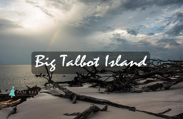 big talbot island florida tourism