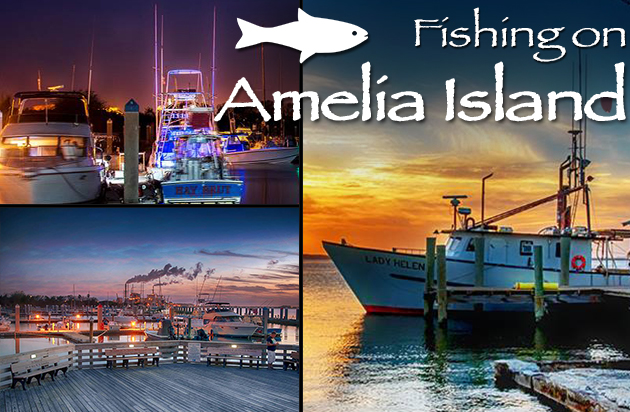 fishing on amelia island florida tourism